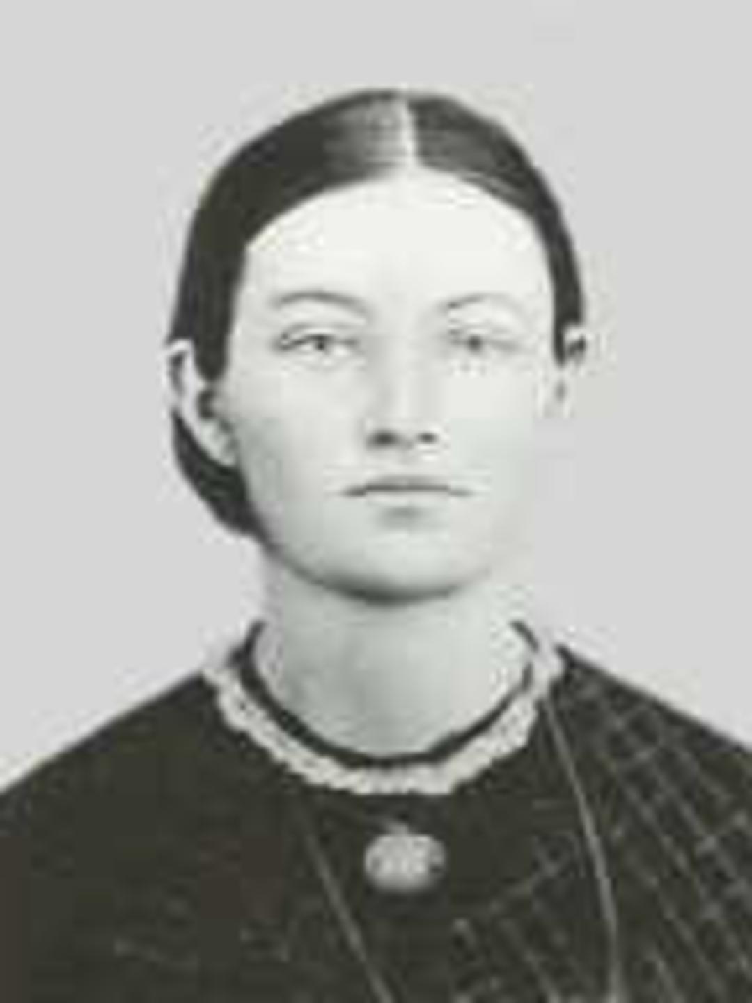 Huetta Clarinda Johnson (1847 - 1883) Profile